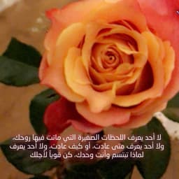amal al-eid